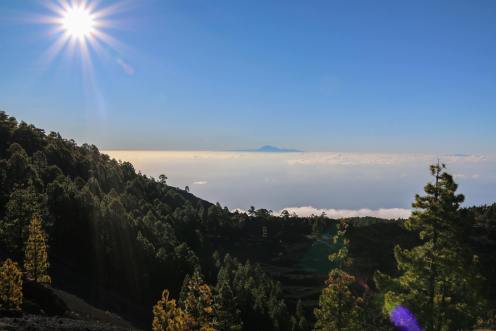 13131160_1110280739024190_7786179833627574064_o