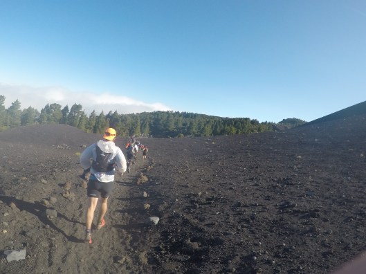 DCIM100GOPROGOPR0559.