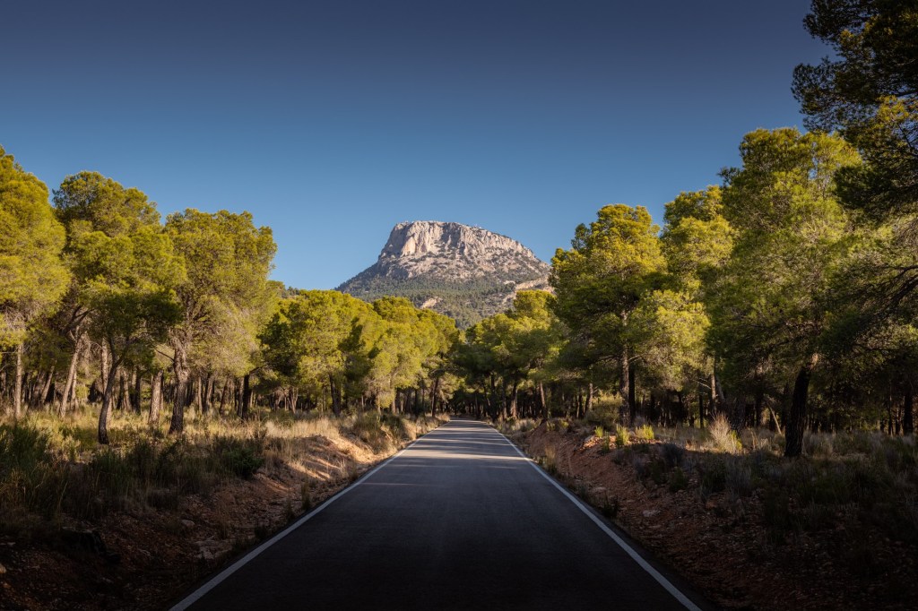 Lift heavy Ride Fast&nbsp;2024